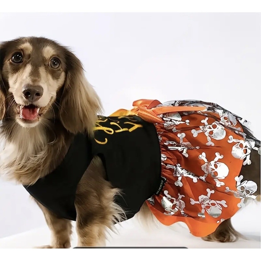 Hocus Pocus Y'All Halloween Tulle Dress Mesh Tutu Skirt Size Medium New